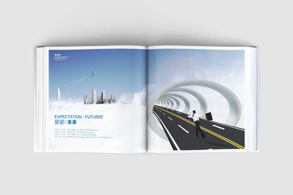 青原区画册设计